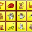 cats findiff